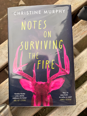 Featured image for Notes on Surviving the Fire