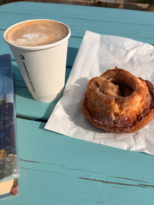 A latte and a cinnamon roll on a bluey greeny painted picnic table. The cinnamon roll is actually upside down because the sun was so bright I really couldn’t see straight at the time.