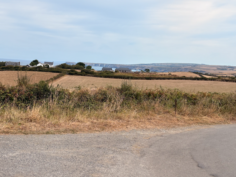 a view across a road to yellow fields and houses and the sea and cliffs in the distance