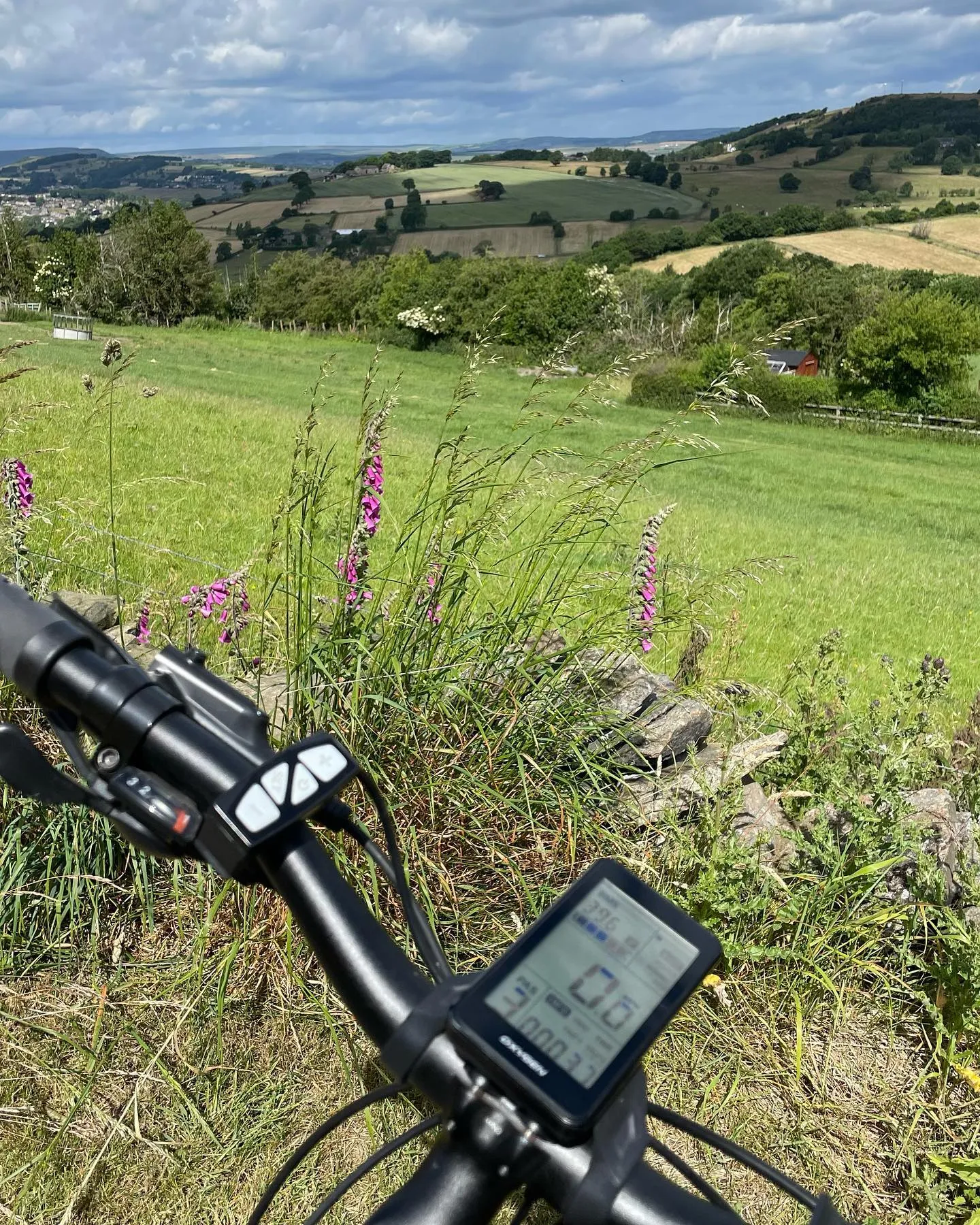 bike with a view