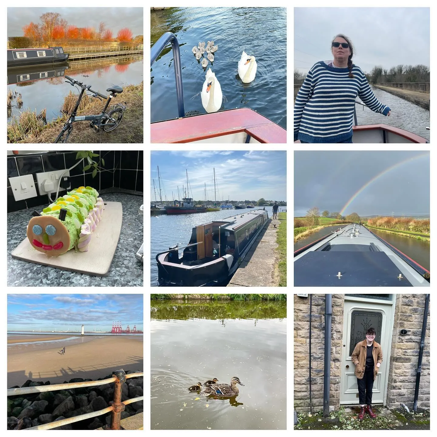 Best of 2023 photo collage