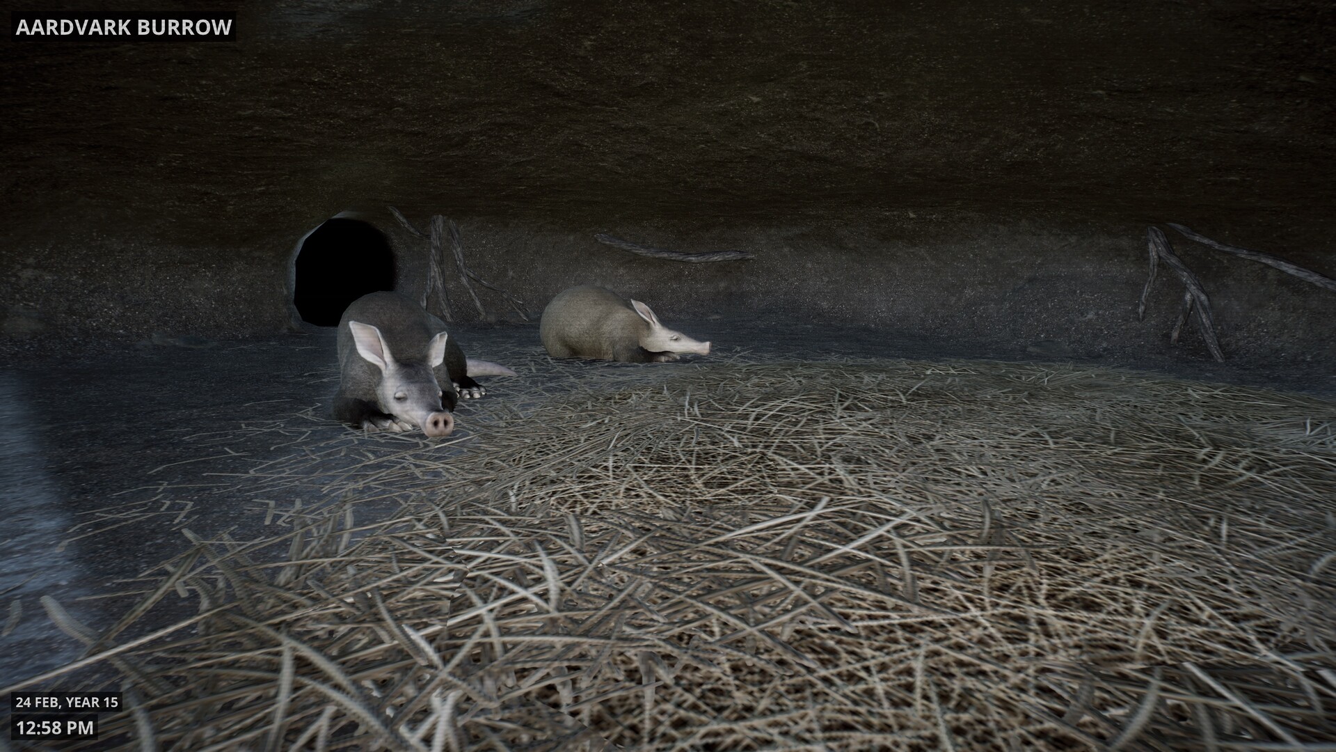 Screenshot from the Planet Zoo video game showing a webcam feed of a pair of aardvarks asleep in a burrow.