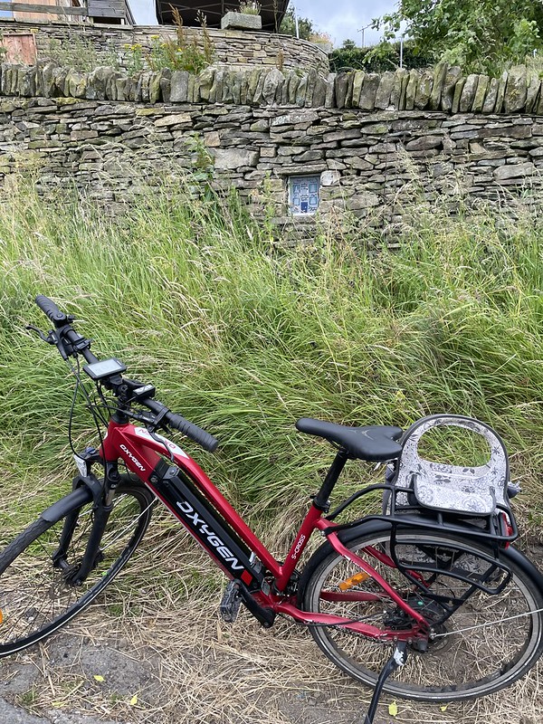 My bike in with lots of green grass, and a stone wall containing a fairy door