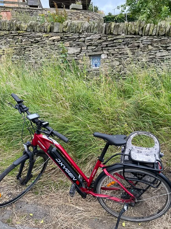 My bike in with lots of green grass, and a stone wall containing a fairy door