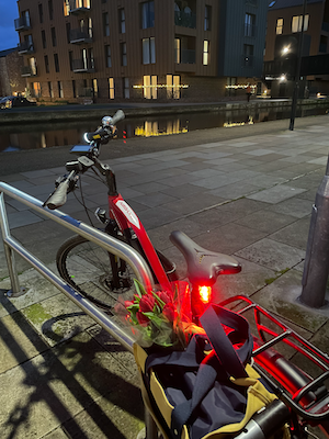 Parked bicycle with a pannier containing flowers, with a reflective canal in the background at  twilight.