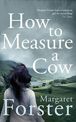 Featured image for How to Measure a Cow