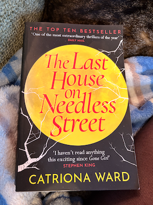 Featured image for The Last House on Needless Street