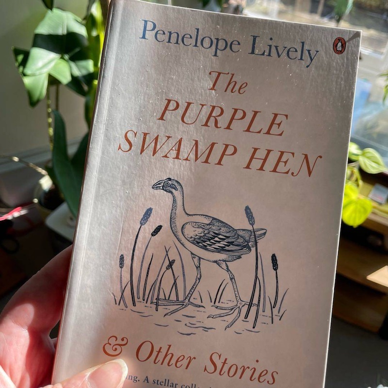 Featured image for The Purple Swamp Hen and Other Stories