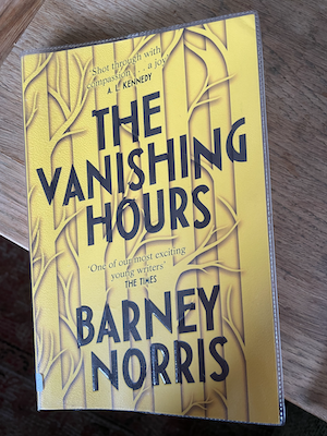 Featured image for The Vanishing Hours